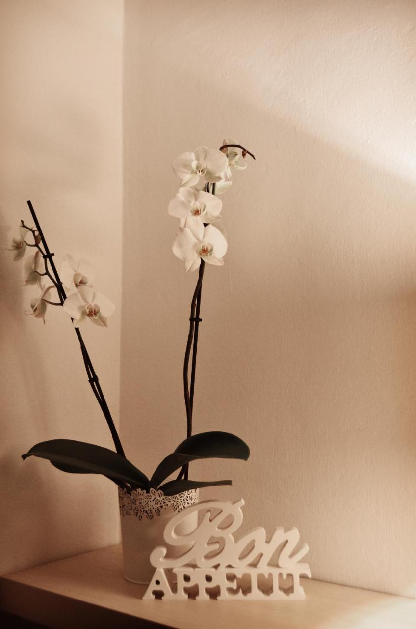 Punto8 Bed & Breakfast Trieste Eksteriør bilde