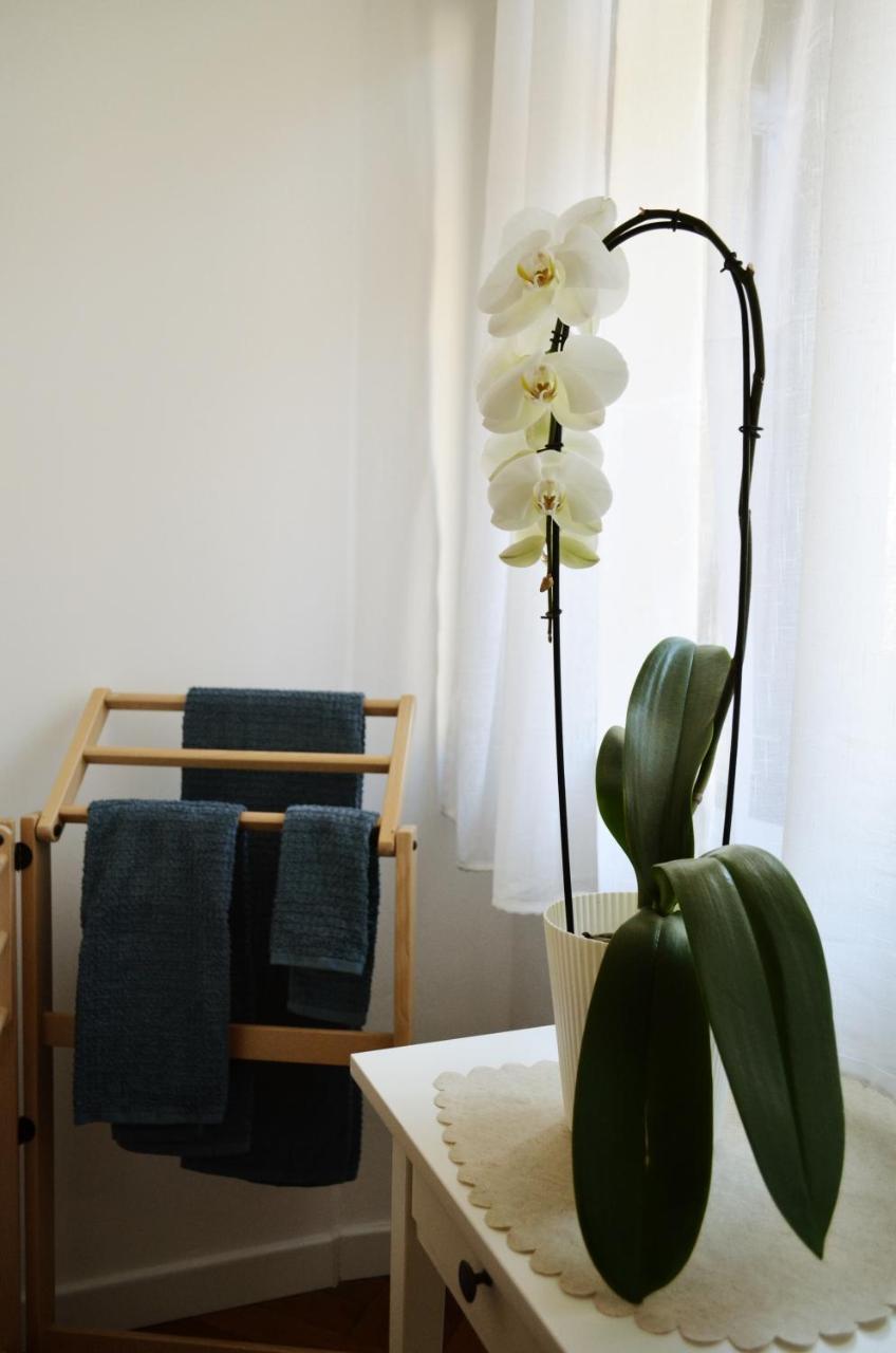 Punto8 Bed & Breakfast Trieste Eksteriør bilde
